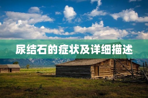 尿结石的症状及详细描述
