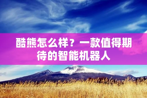 酷熊怎么样？一款值得期待的智能机器人