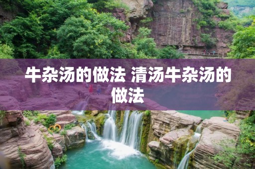 牛杂汤的做法 清汤牛杂汤的做法