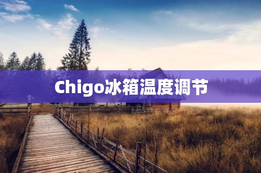 Chigo冰箱温度调节：如何正确设置冰箱温度以保持食物新鲜