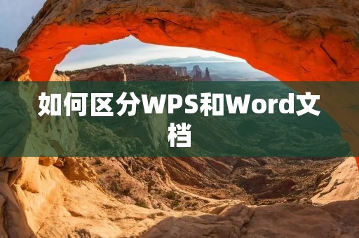 如何区分WPS和Word文档