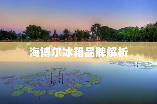 海博尔冰箱品牌解析：品质与创新并重的高端选择