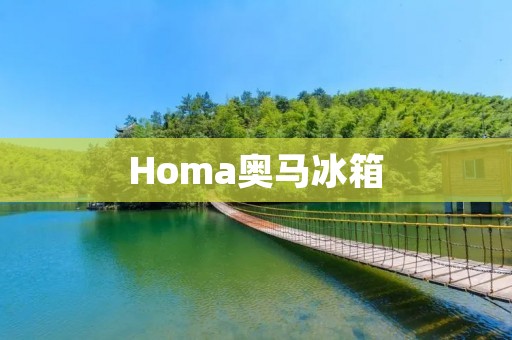 Homa奥马冰箱:高品质与卓越性能的完美结合 Homa奥马冰箱:高品质与卓越性能的完美结合