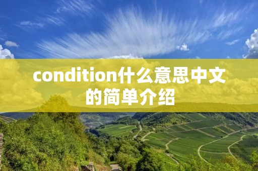 condition什么意思中文的简单介绍 condition什么意思中文的简单介绍