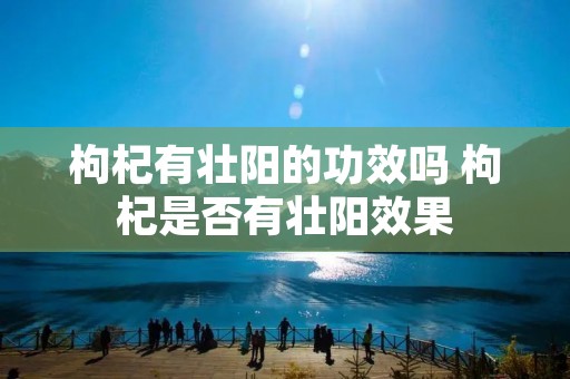 枸杞有壮阳的功效吗 枸杞是否有壮阳效果 枸杞有壮阳的功效吗 枸杞是否有壮阳效果