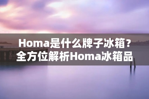 Homa是什么牌子冰箱?全方位解析Homa冰箱品牌的特点与优势 Homa是什么牌子冰箱?全方位解析Homa冰箱品牌的特点与优势