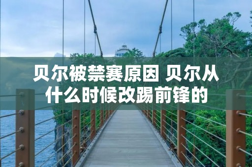 贝尔被禁赛原因 贝尔从什么时候改踢前锋的 贝尔被禁赛原因 贝尔从什么时候改踢前锋的