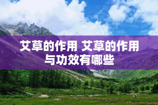 艾草的作用 艾草的作用与功效有哪些