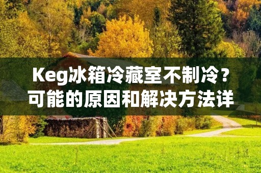 Keg冰箱冷藏室不制冷？可能的原因和解决方法详解