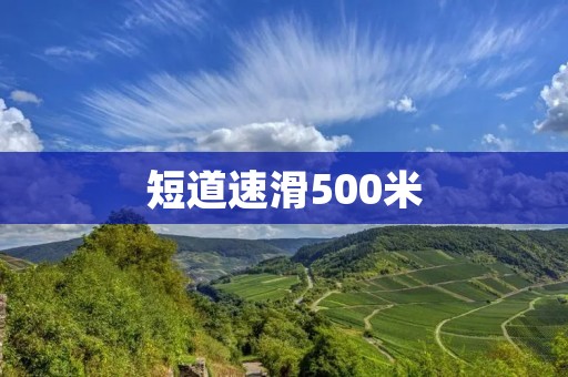 短道速滑500米:速度与技巧的完美结合 短道速滑500米:速度与技巧的完美结合