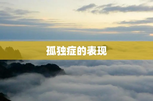 孤独症的表现
