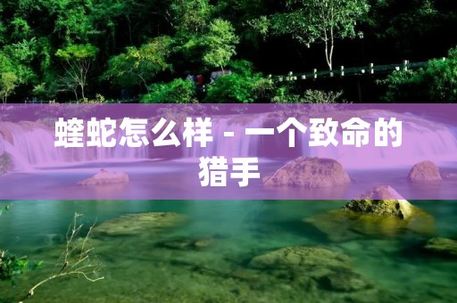 蝰蛇怎么样 - 一个致命的猎手 蝰蛇怎么样 - 一个致命的猎手