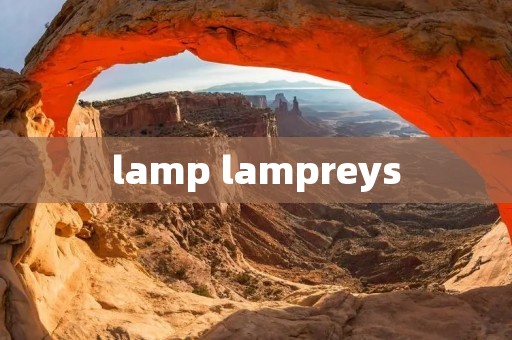 lamp lampreys