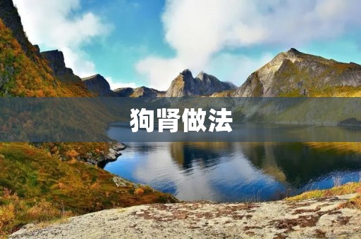 狗肾做法：美味佳肴的制作秘籍