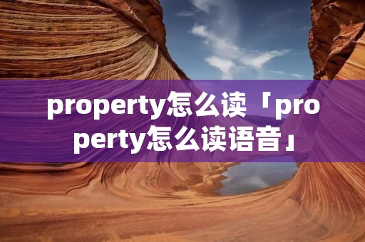 property怎么读「property怎么读语音」