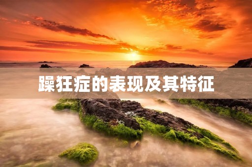 躁狂症的表现及其特征