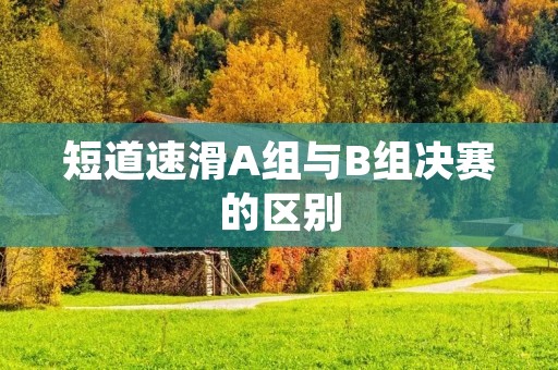 短道速滑A组与B组决赛的区别 短道速滑A组与B组决赛的区别
