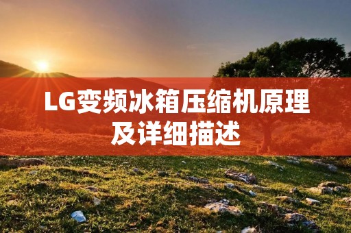LG变频冰箱压缩机原理及详细描述 LG变频冰箱压缩机原理及详细描述