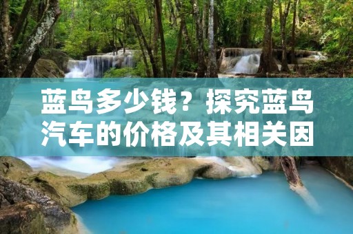 蓝鸟多少钱？探究蓝鸟汽车的价格及其相关因素