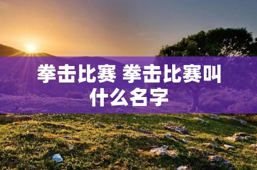 拳击比赛 拳击比赛叫什么名字 拳击比赛 拳击比赛叫什么名字
