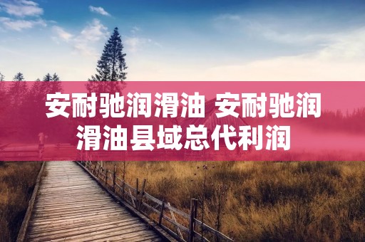安耐驰润滑油 安耐驰润滑油县域总代利润