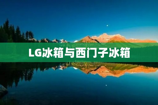 LG冰箱与西门子冰箱：哪个更好？