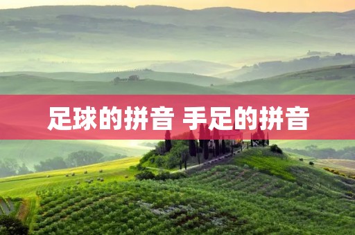 足球的拼音 手足的拼音