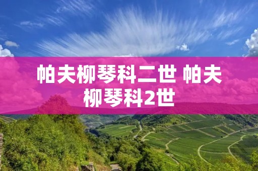 帕夫柳琴科二世 帕夫柳琴科2世