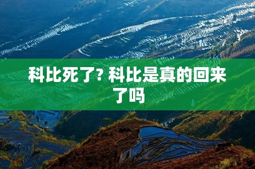 科比死了? 科比是真的回来了吗 科比死了? 科比是真的回来了吗