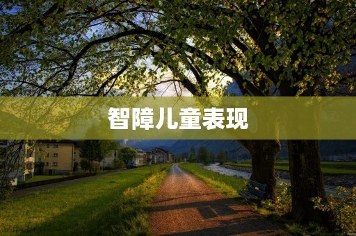 智障儿童表现:认知、行为与社交方面的特点