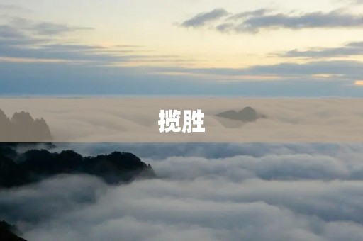 揽胜:豪华SUV的首选 揽胜:豪华SUV的首选