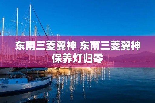 东南三菱翼神 东南三菱翼神保养灯归零