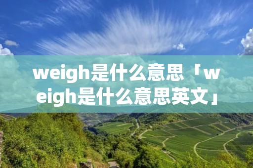 weigh是什么意思「weigh是什么意思英文」