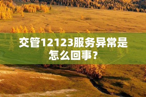 交管12123服务异常是怎么回事?