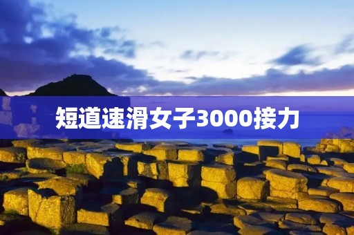 短道速滑女子3000接力：荣耀与团队精神的舞台