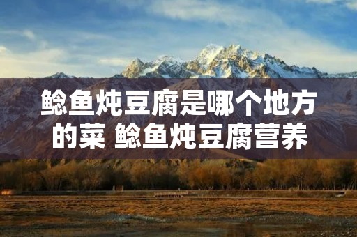 鲶鱼炖豆腐是哪个地方的菜 鲶鱼炖豆腐营养价值