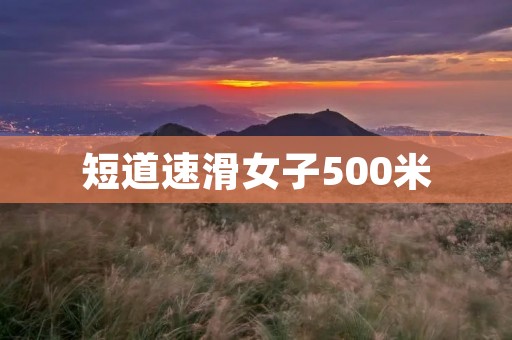 短道速滑女子500米：速度与技巧的完美结合