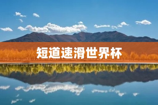 短道速滑世界杯：展现顶级运动水平与激烈竞争