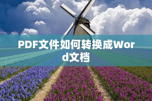 PDF文件如何转换成Word文档