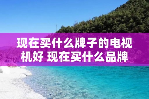 现在买什么牌子的电视机好 现在买什么品牌电视机最好