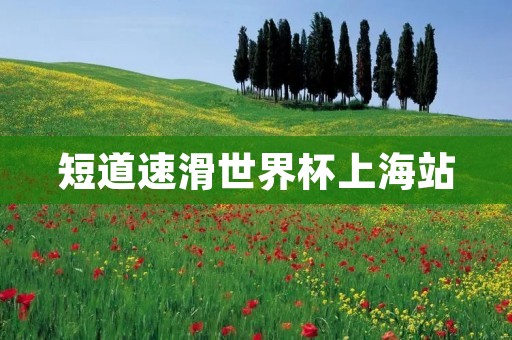 短道速滑世界杯上海站：冰上狂飙的壮丽舞台