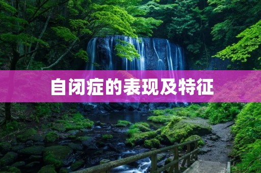 自闭症的表现及特征