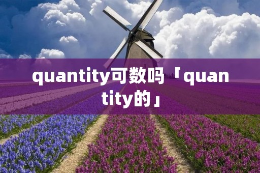 quantity可数吗「quantity的」
