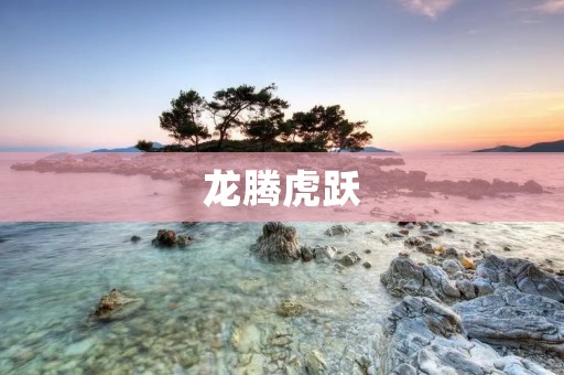 龙腾虎跃:追逐梦想的奋斗之路