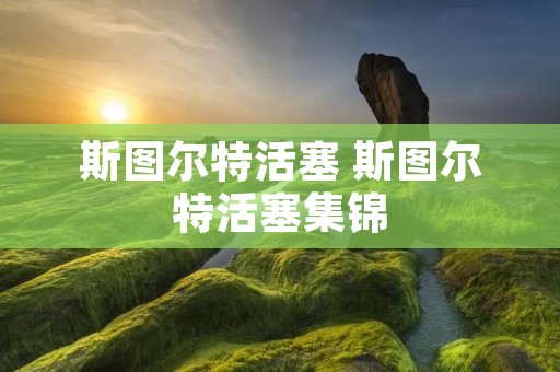 斯图尔特活塞 斯图尔特活塞集锦