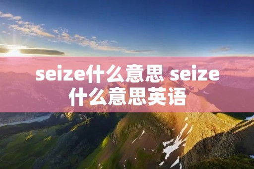 seize什么意思 seize什么意思英语