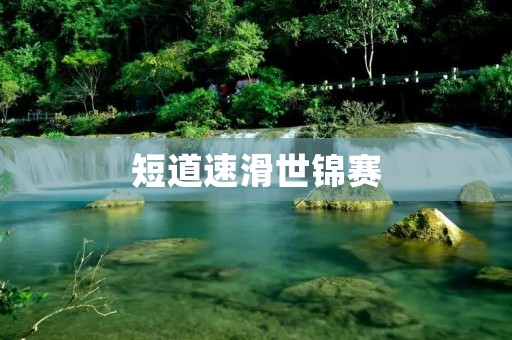 短道速滑世锦赛：速度与技巧的极致竞技