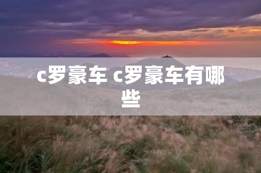 c罗豪车 c罗豪车有哪些