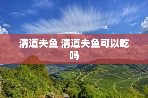 清道夫鱼 清道夫鱼可以吃吗 清道夫鱼 清道夫鱼可以吃吗