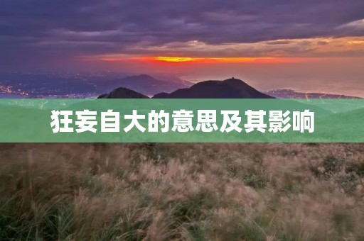 狂妄自大的意思及其影响
